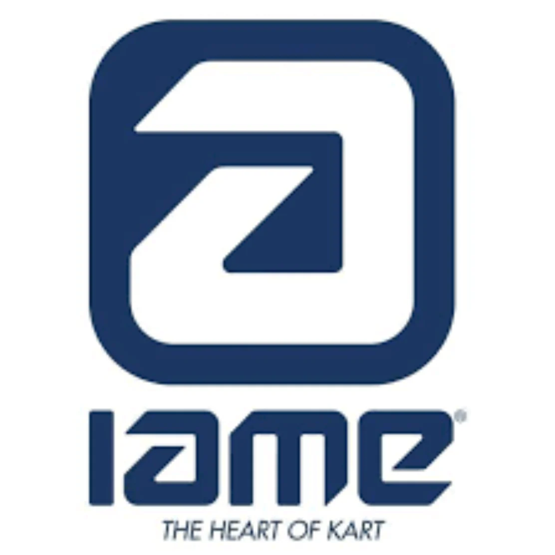 Iame Water Swift Cylinder - Image 3
